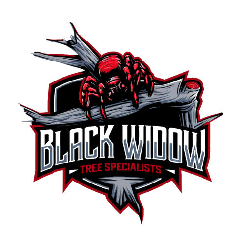Black Widow Tree Specialists
